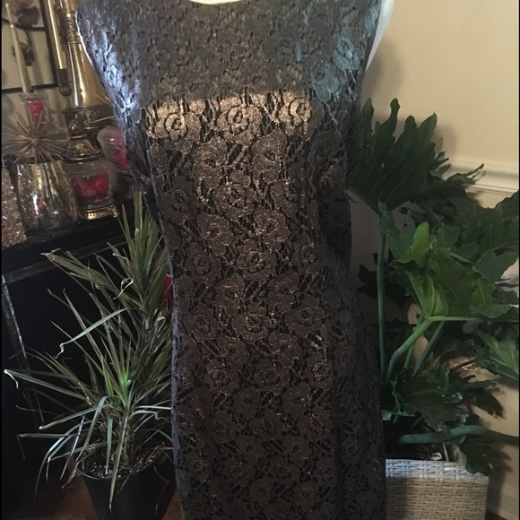 WHBM Pewter Lace Dress NWT - Picture 3 of 8